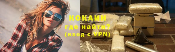 шишки Дмитриев