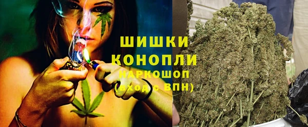 крисы Няндома