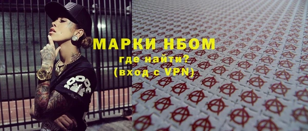 крисы Няндома