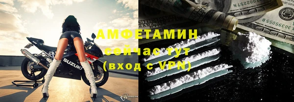 крисы Няндома