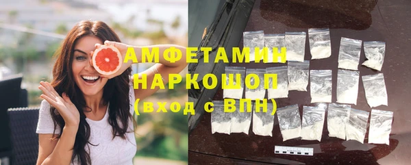 крисы Няндома