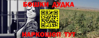 a pvp Гатчина