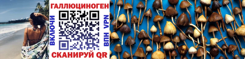 цены   Кузнецк  Псилоцибиновые грибы мухоморы 