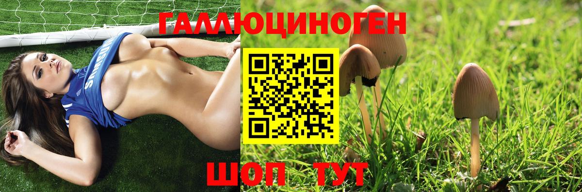 Галлюциногенные грибы мицелий Кузнецк