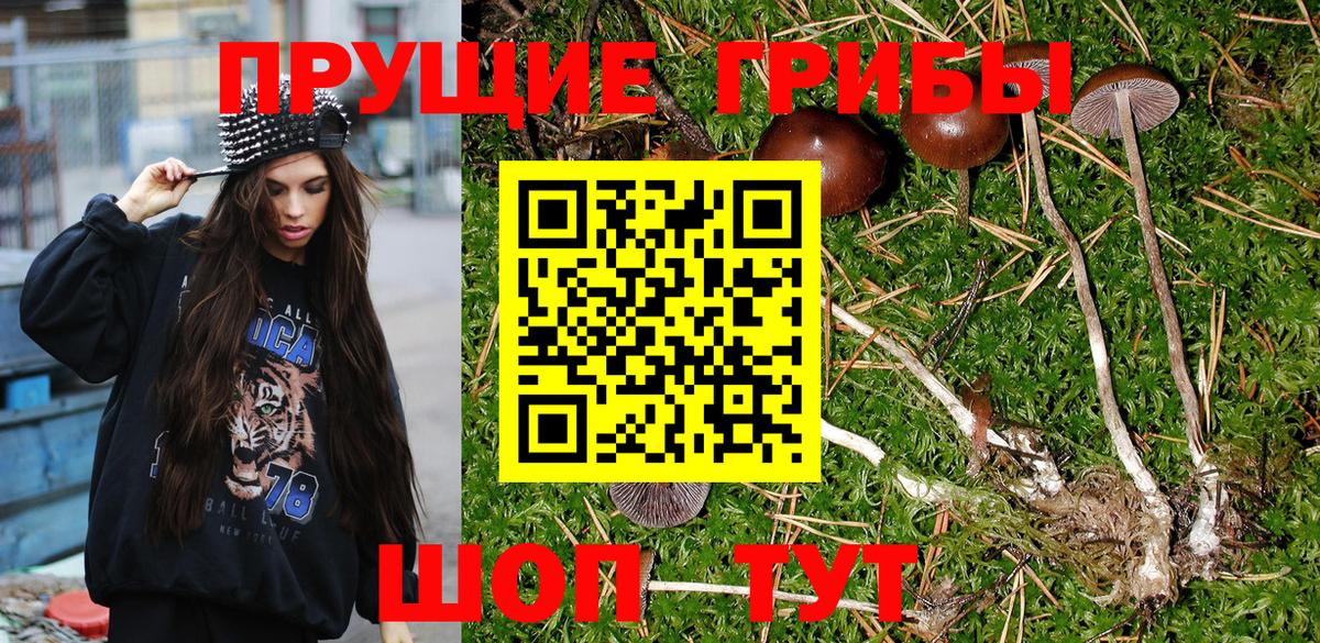 Псилоцибиновые грибы MAGIC MUSHROOMS  Кузнецк 