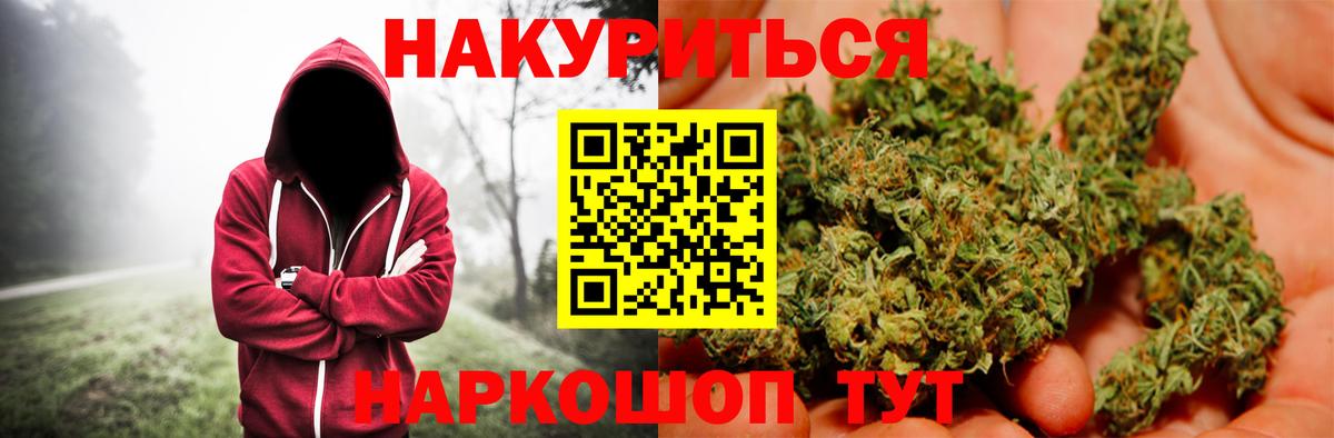 МАРИХУАНА гибрид Кузнецк